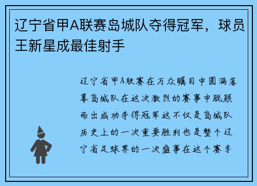 辽宁省甲A联赛岛城队夺得冠军，球员王新星成最佳射手