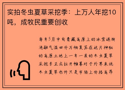 实拍冬虫夏草采挖季：上万人年挖10吨，成牧民重要创收